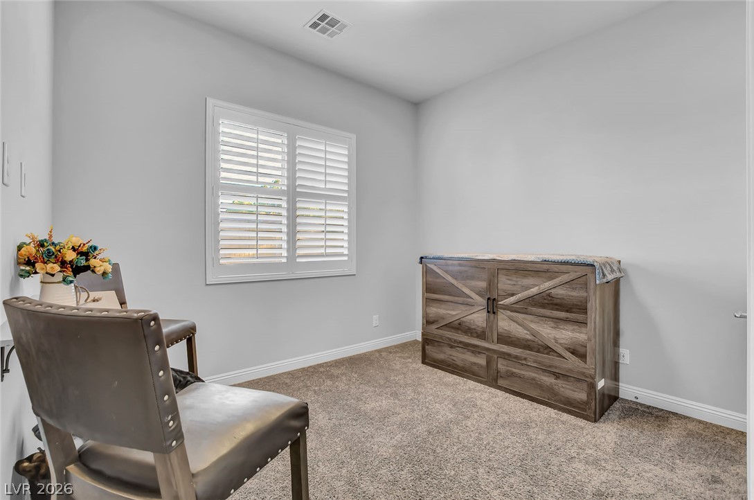 5675 Willow Canyon Street Property Photo 22