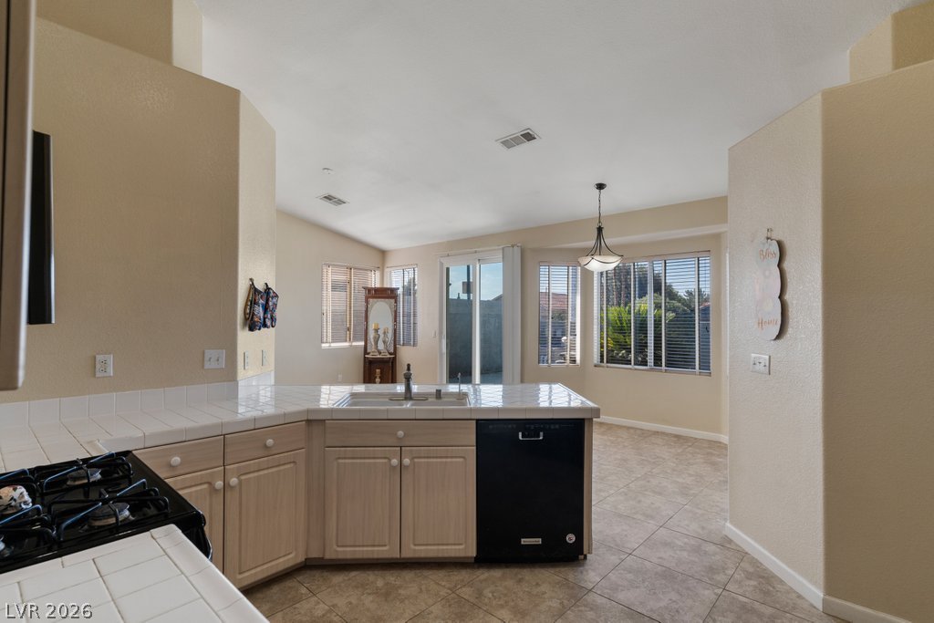 1076 Coral Desert Drive Property Photo 7