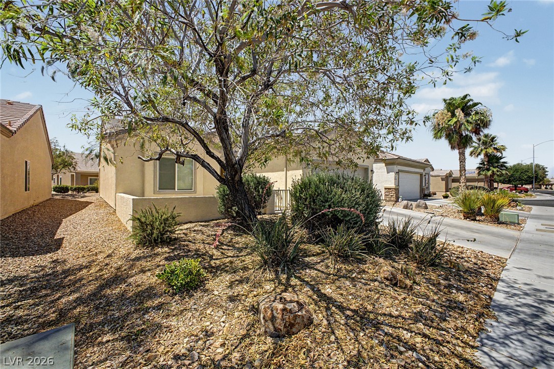 2321 Carrier Dove Way Property Photo 24