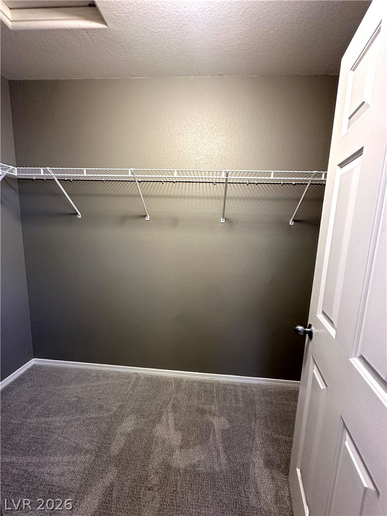9362 Boulder Opal Avenue Property Photo 20
