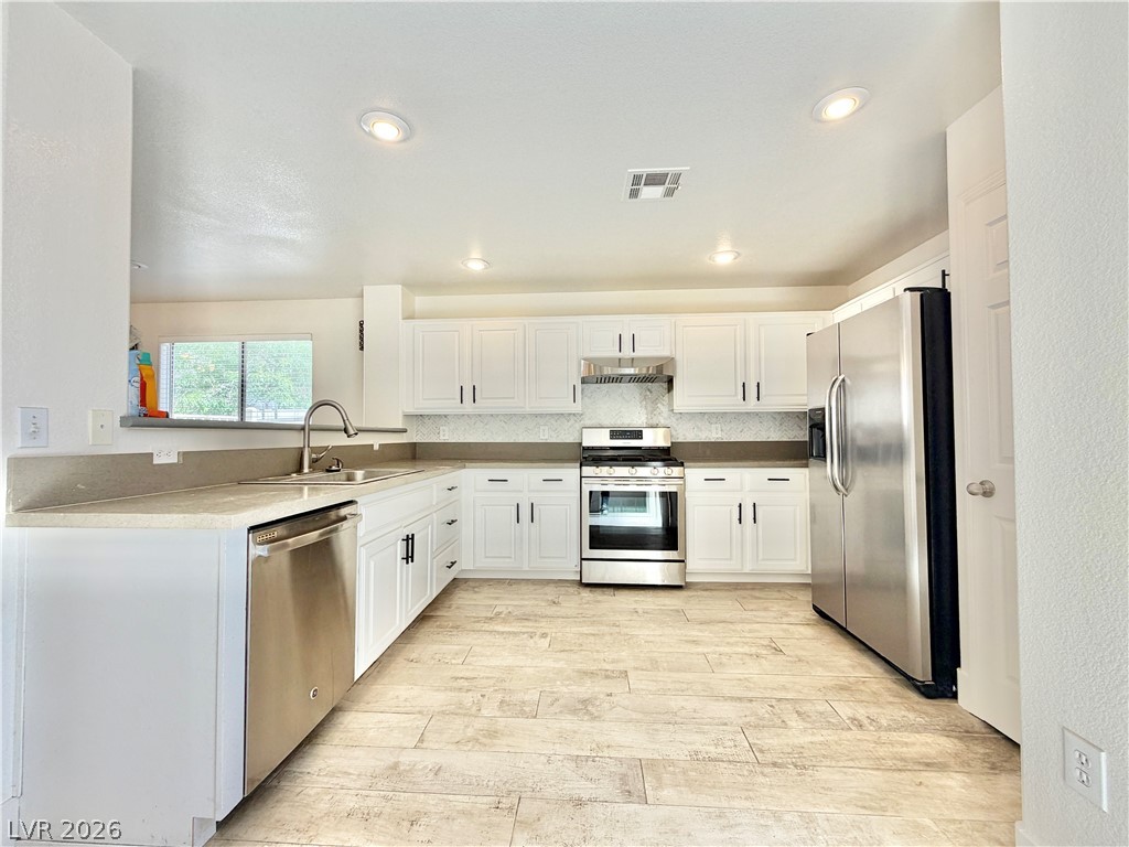 5863 Rose Tiara Drive Property Photo 8
