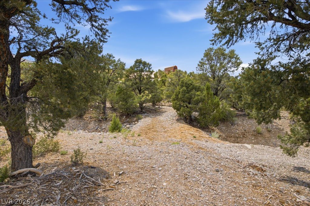 155 Oak Trail Circle Property Photo 4