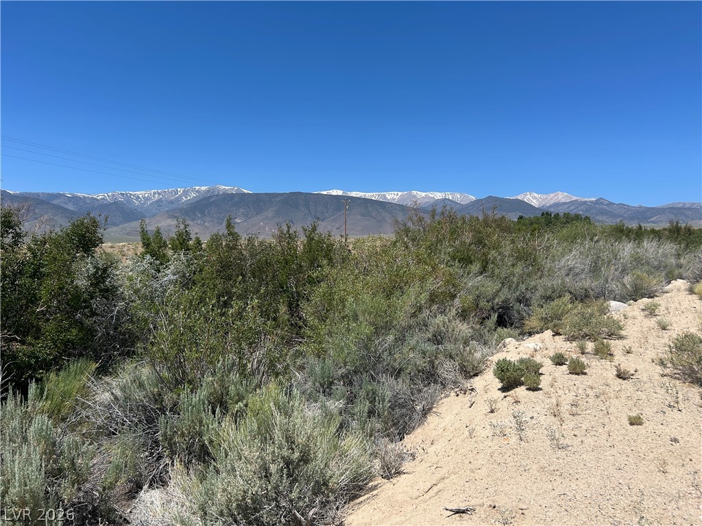 360 Mountain Creek Road Property Photo 10