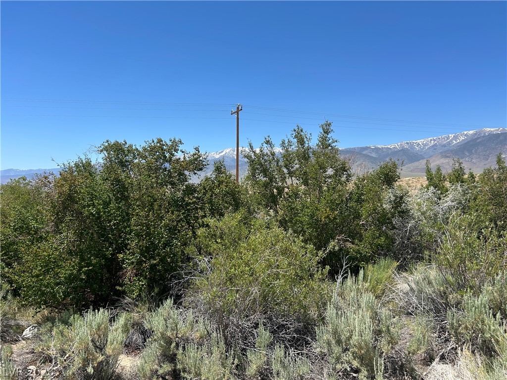 360 Mountain Creek Road Property Photo 11