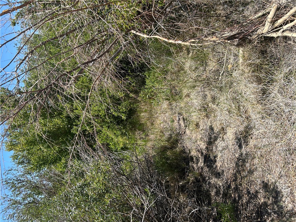 360 Mountain Creek Road Property Photo 16
