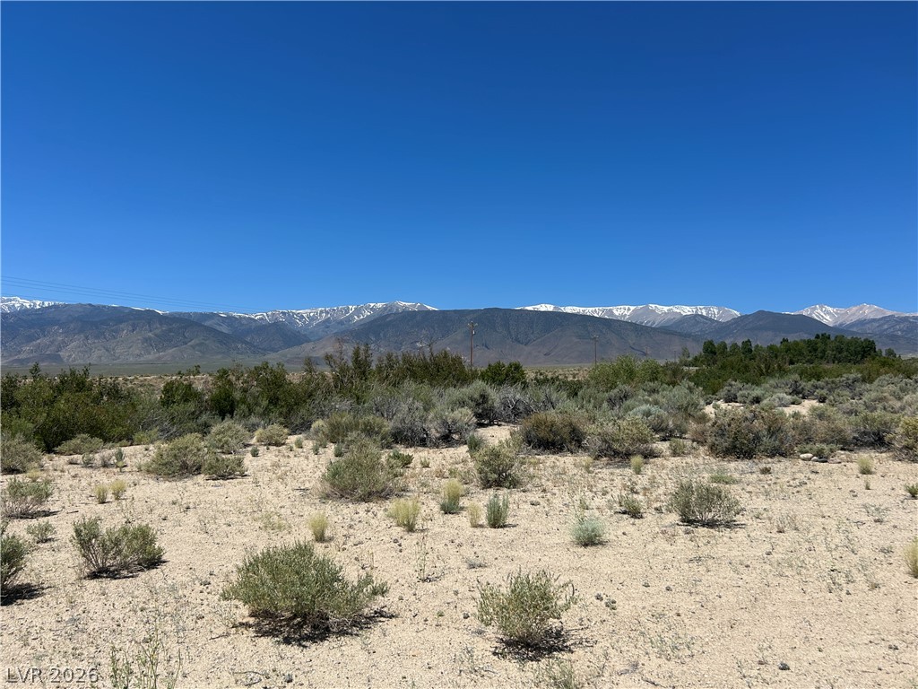 360 Mountain Creek Road Property Photo 19