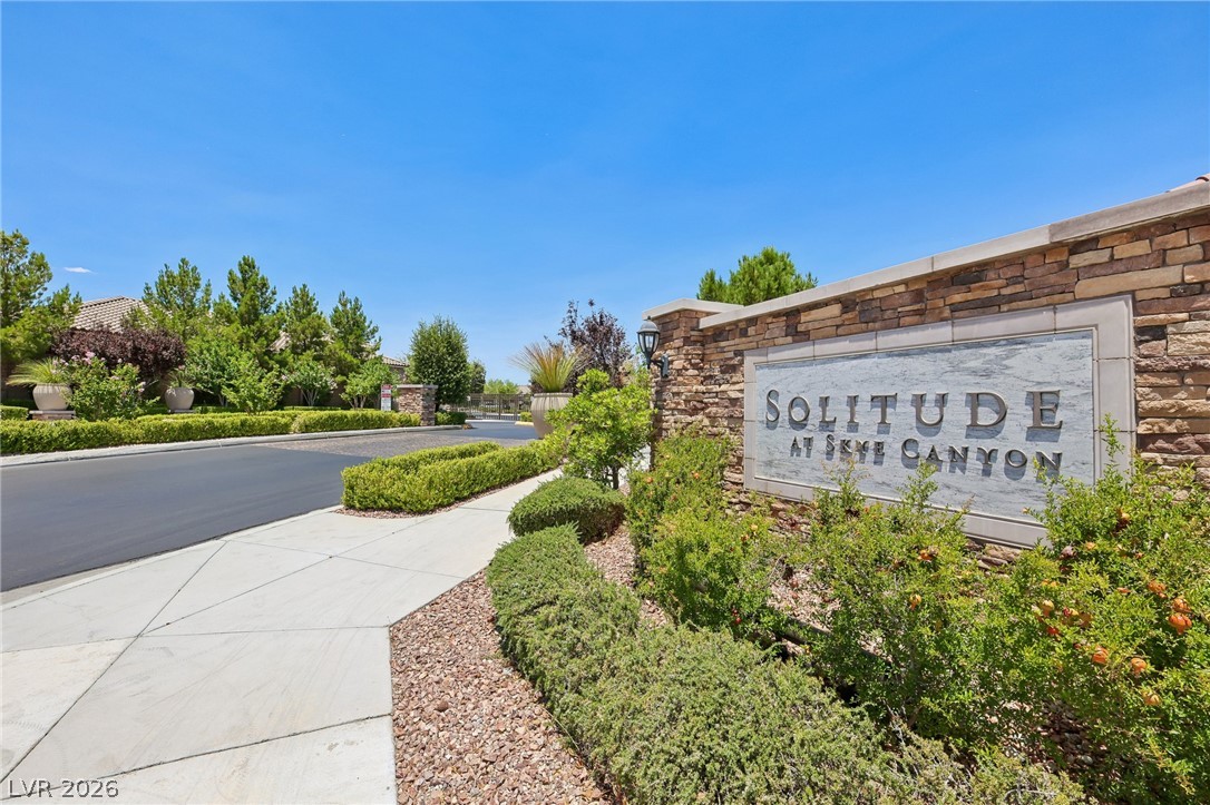 8269 Skye Gorge Street Property Photo 38