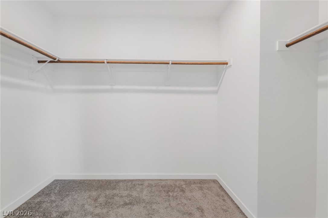 894 Cadence View Way Property Photo 17