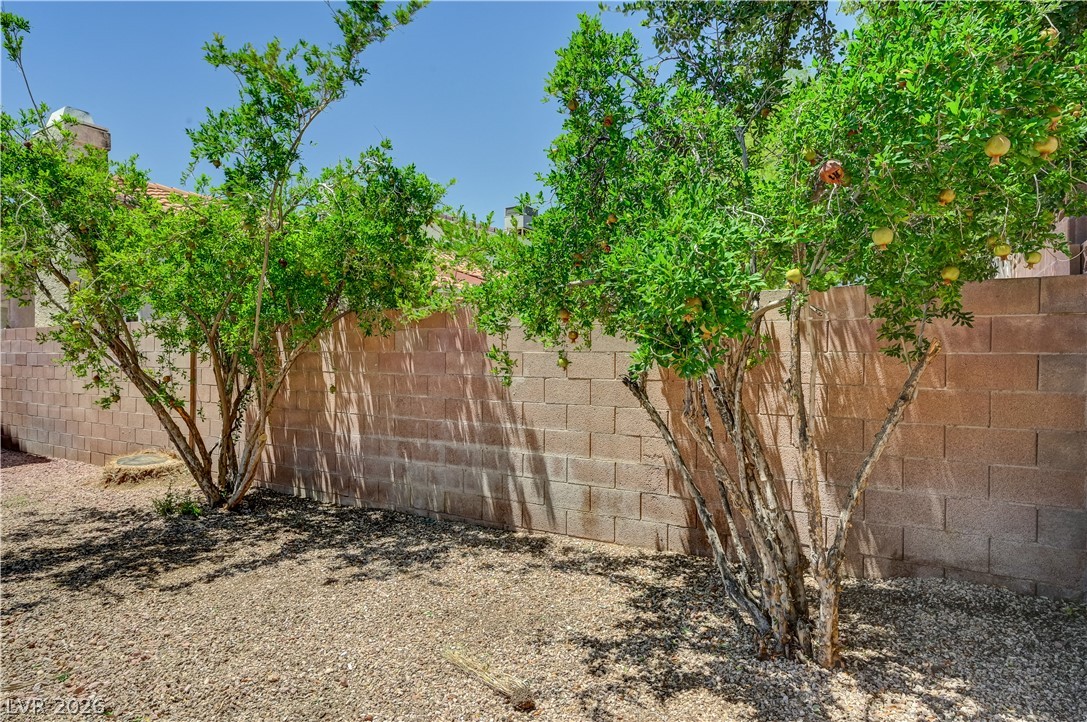 2840 Preciso Lane Property Photo 42