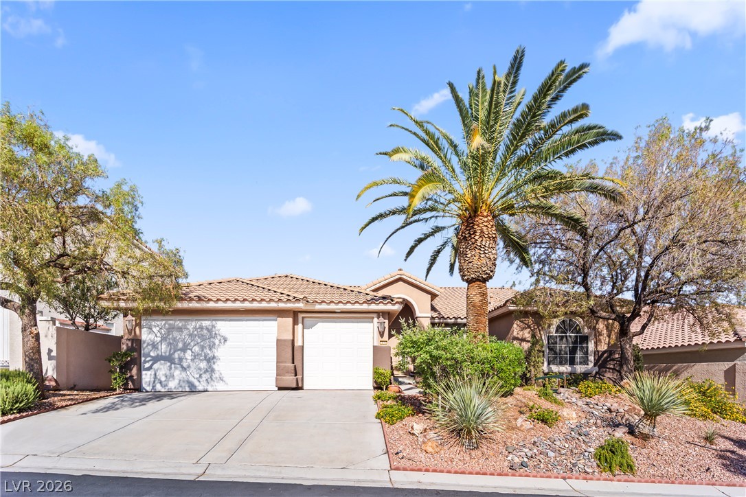 3894 Tropical Vine Street Property Photo 1