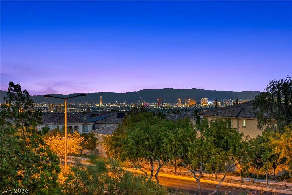 12021 Abbracci Avenue Property Photo 3