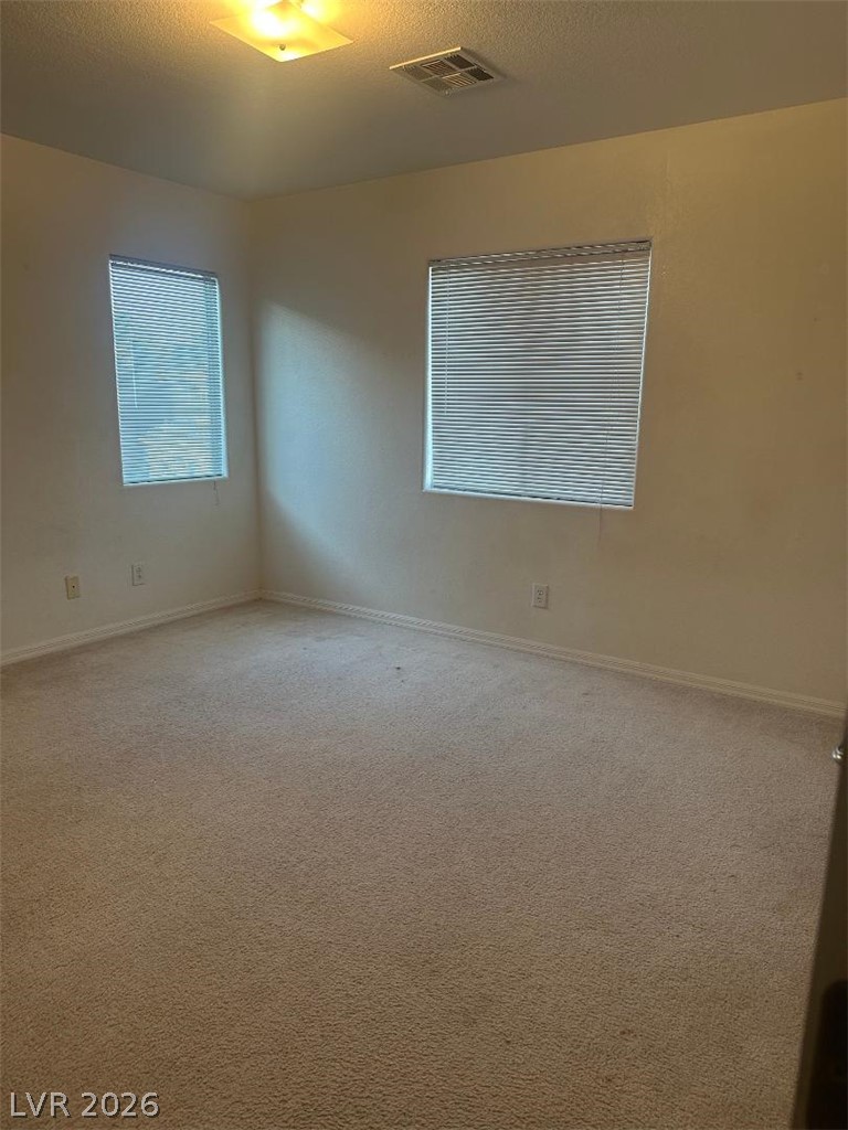 515 Newberry Springs Drive Property Photo 6