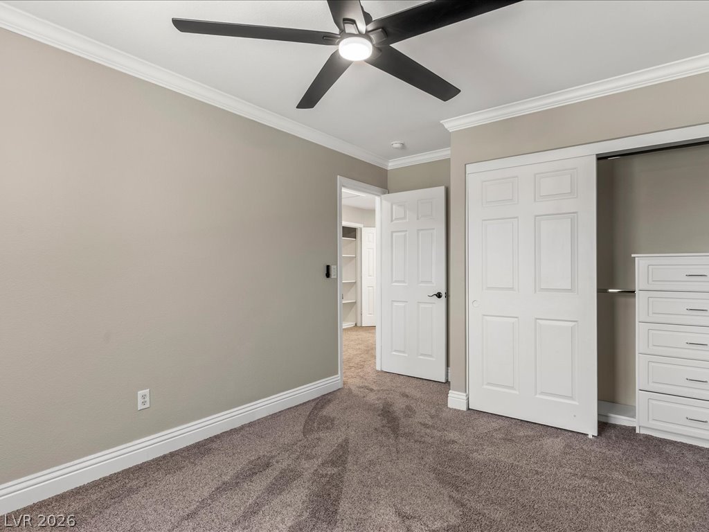 11145 Alora Street Property Photo 48