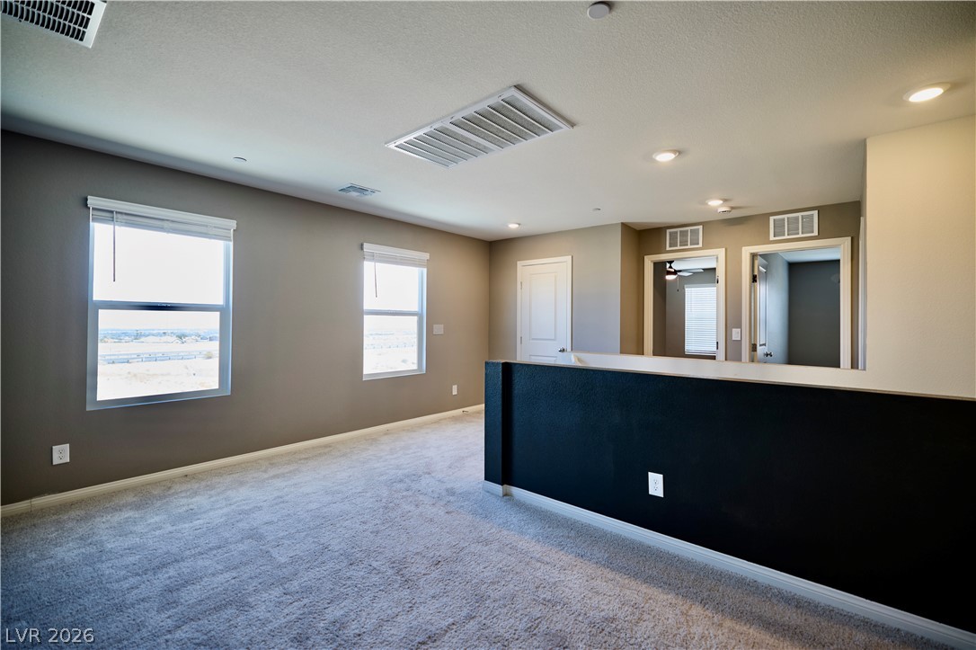 10788 River Junction Avenue Property Photo 11