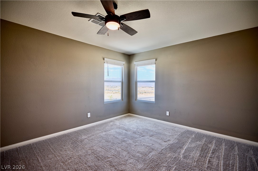 10788 River Junction Avenue Property Photo 20