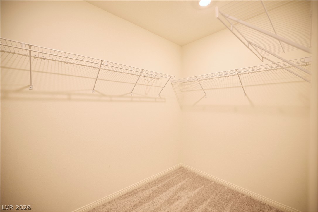 10788 River Junction Avenue Property Photo 22