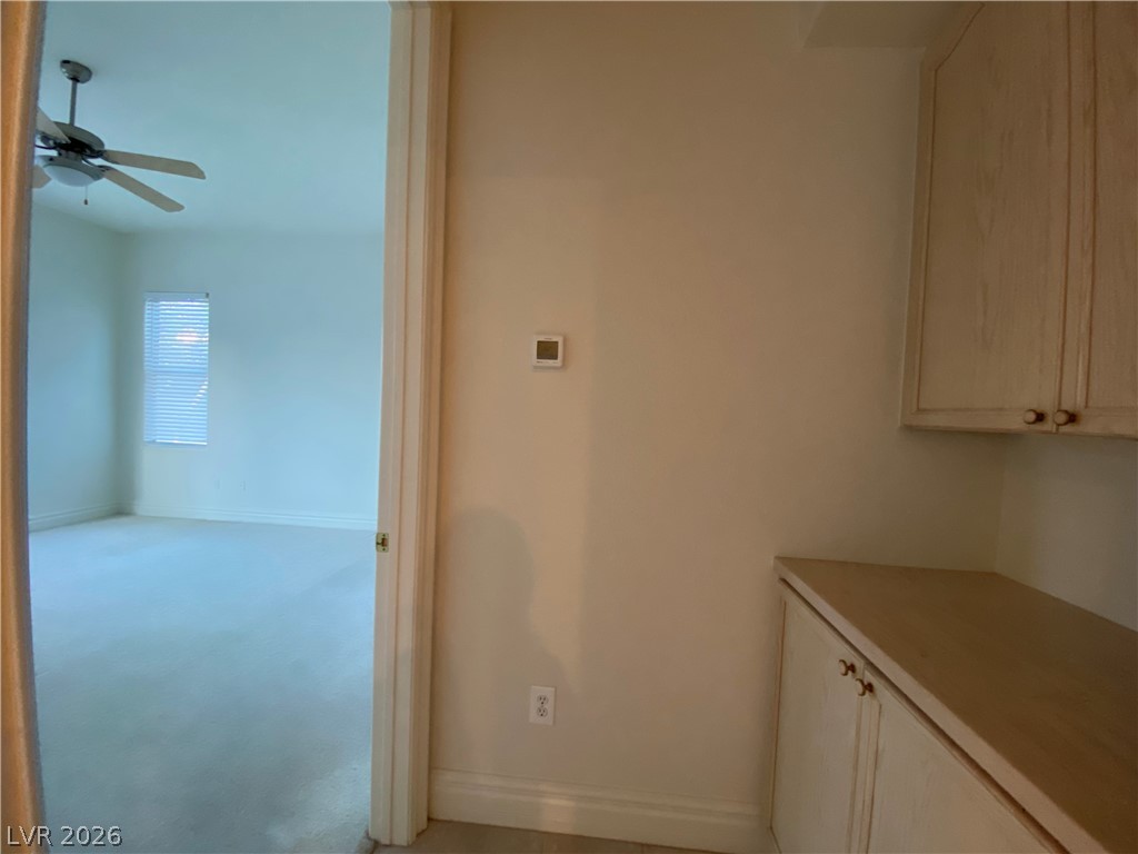 386 Apple River Court Property Photo 11