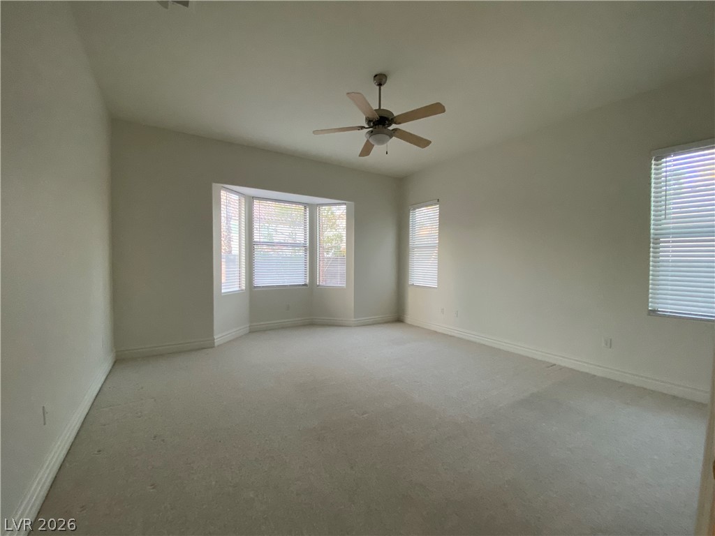 386 Apple River Court Property Photo 12