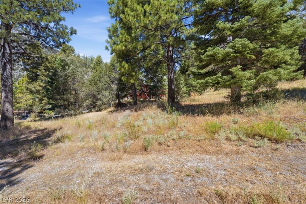 248 Crestview Drive Property Photo 5