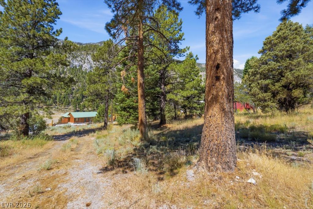248 Crestview Drive Property Photo 6