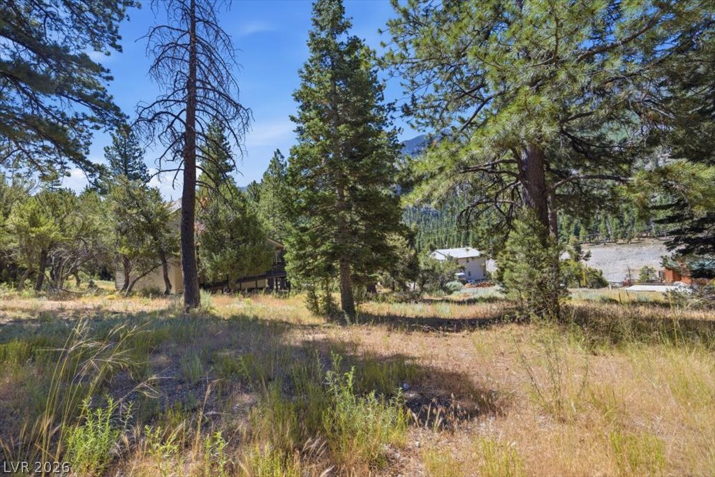 248 Crestview Drive Property Photo 8