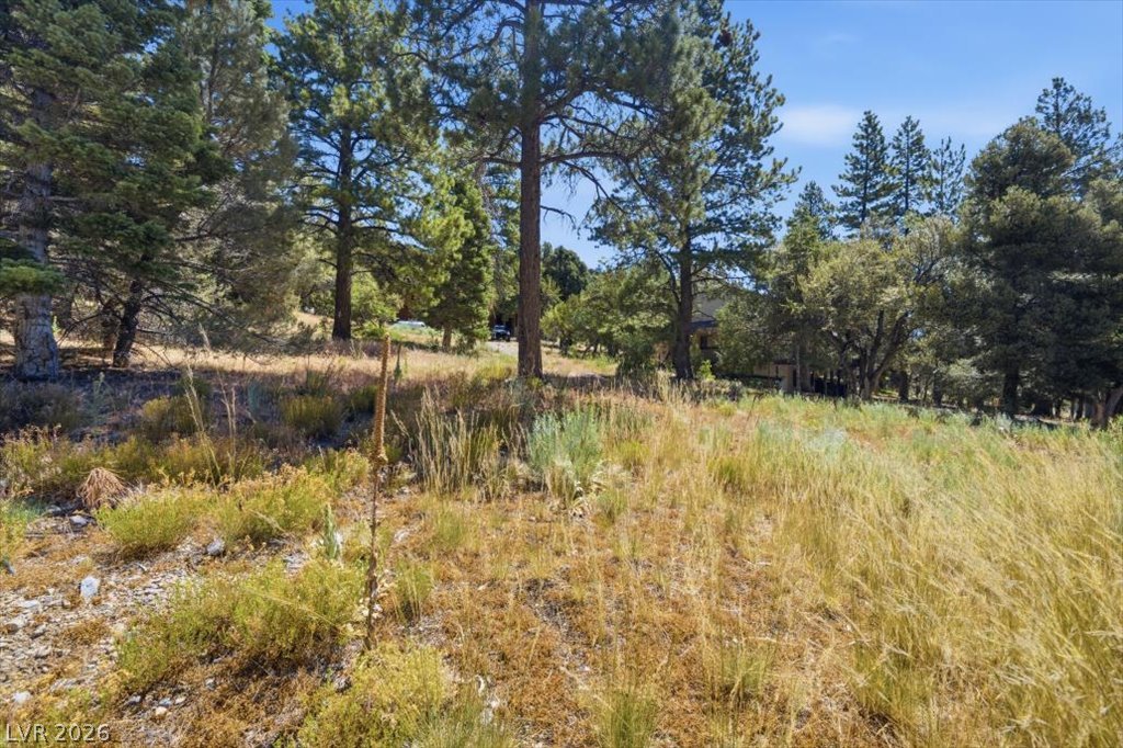 248 Crestview Drive Property Photo 10