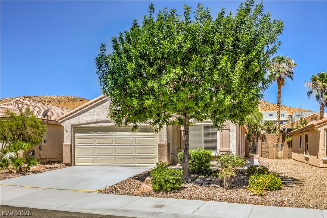 11079 Cusumano Court Property Photo 3