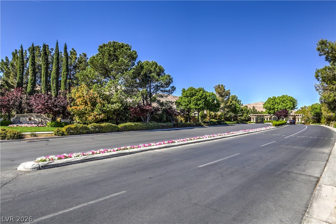 11079 Cusumano Court Property Photo 37