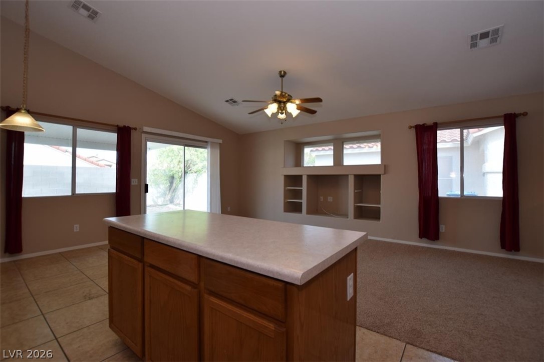 1024 Clover Tip Court Property Photo 17