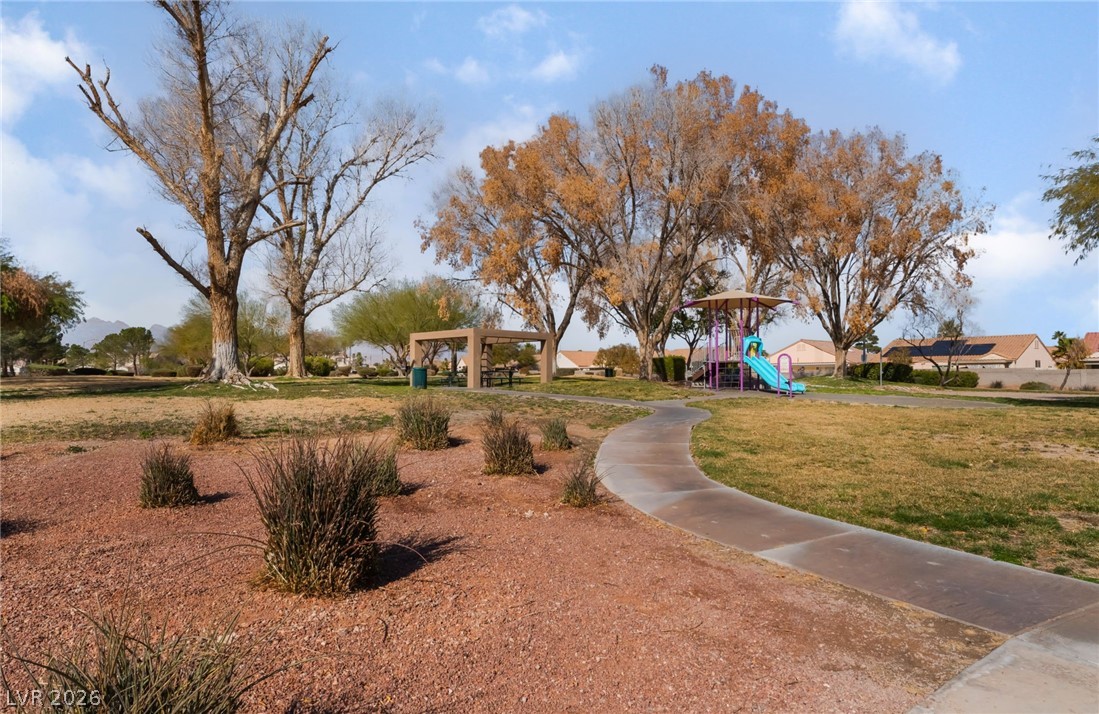 4542 Silver Bit Court Property Photo 20