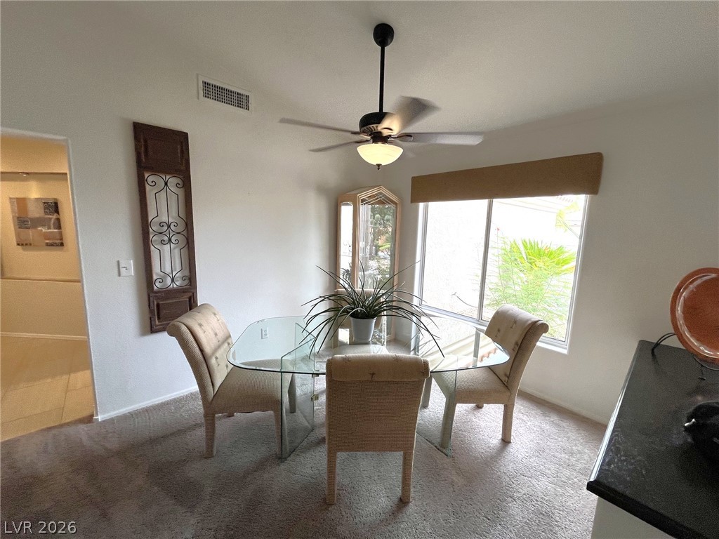 10133 Cresent Creek Drive Property Photo 17