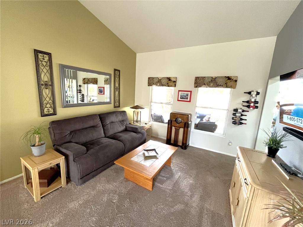 10133 Cresent Creek Drive Property Photo 27