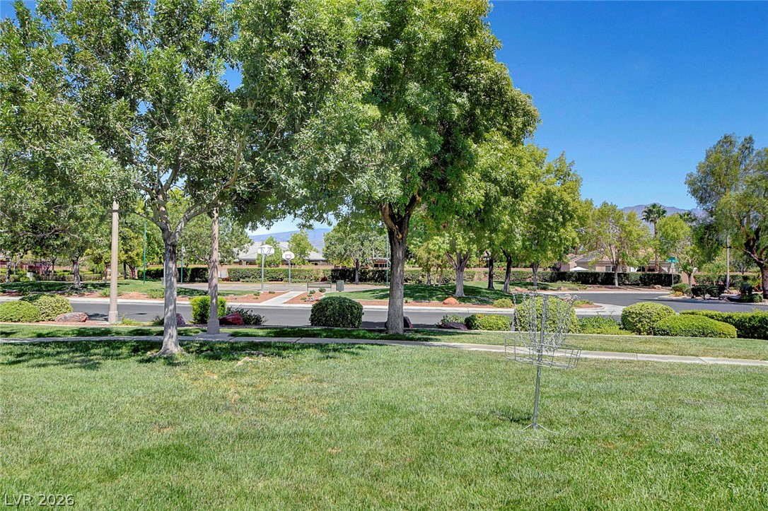 7087 April Wind Avenue Property Photo 81