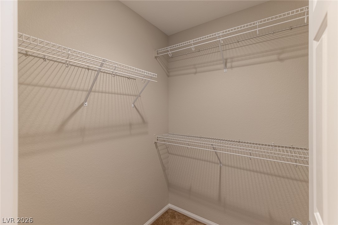 10408 Wildflower Gully Street Property Photo 43