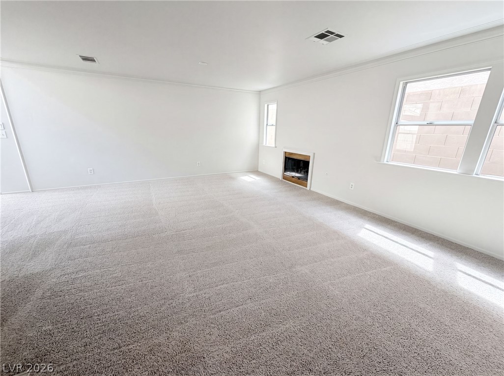 9328 Chilly Pond Avenue Property Photo 3
