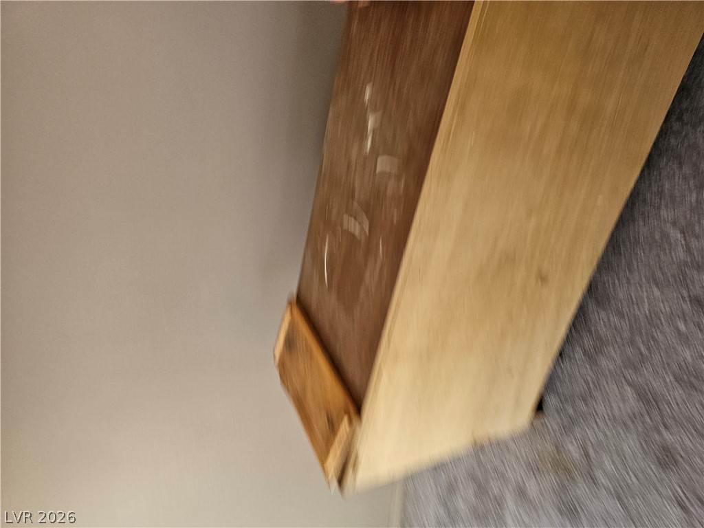 1610 Shadscale Court Property Photo 15