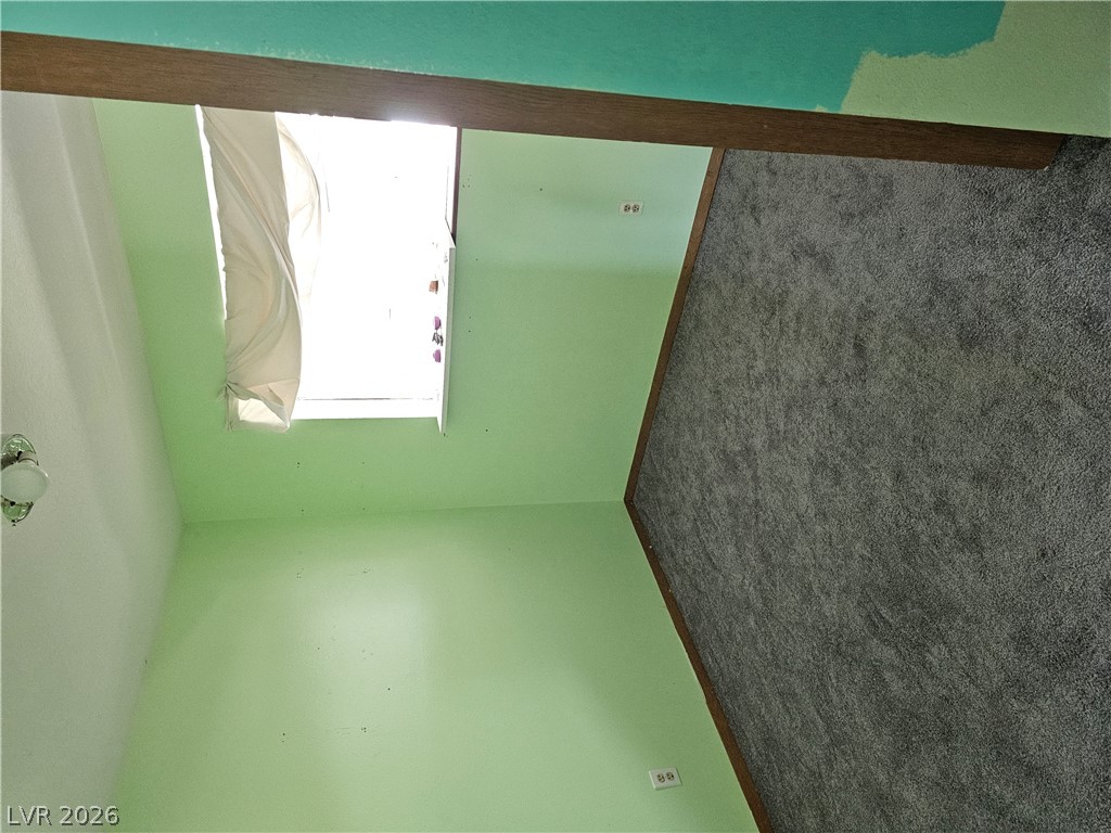 1610 Shadscale Court Property Photo 22