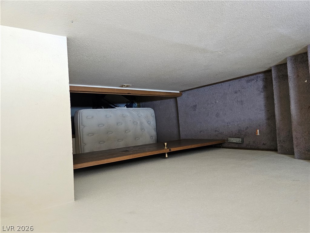 1610 Shadscale Court Property Photo 23