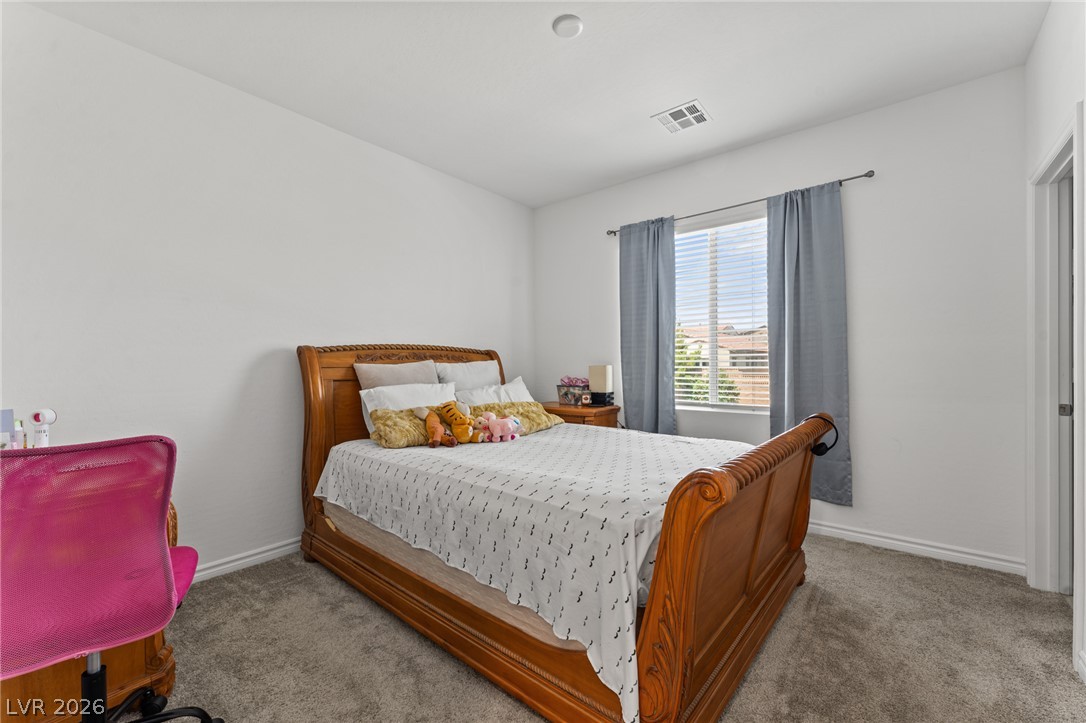 8879 Roadrunner Ravine Street Property Photo 32