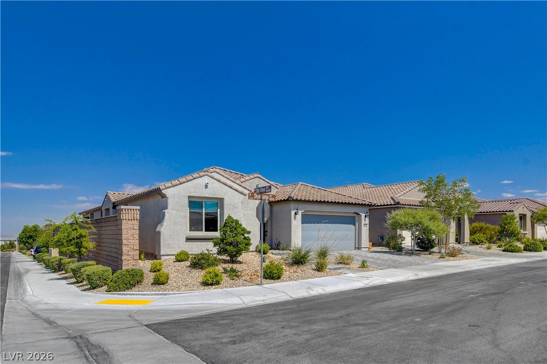 8286 Skye Gorge Street Property Photo 11
