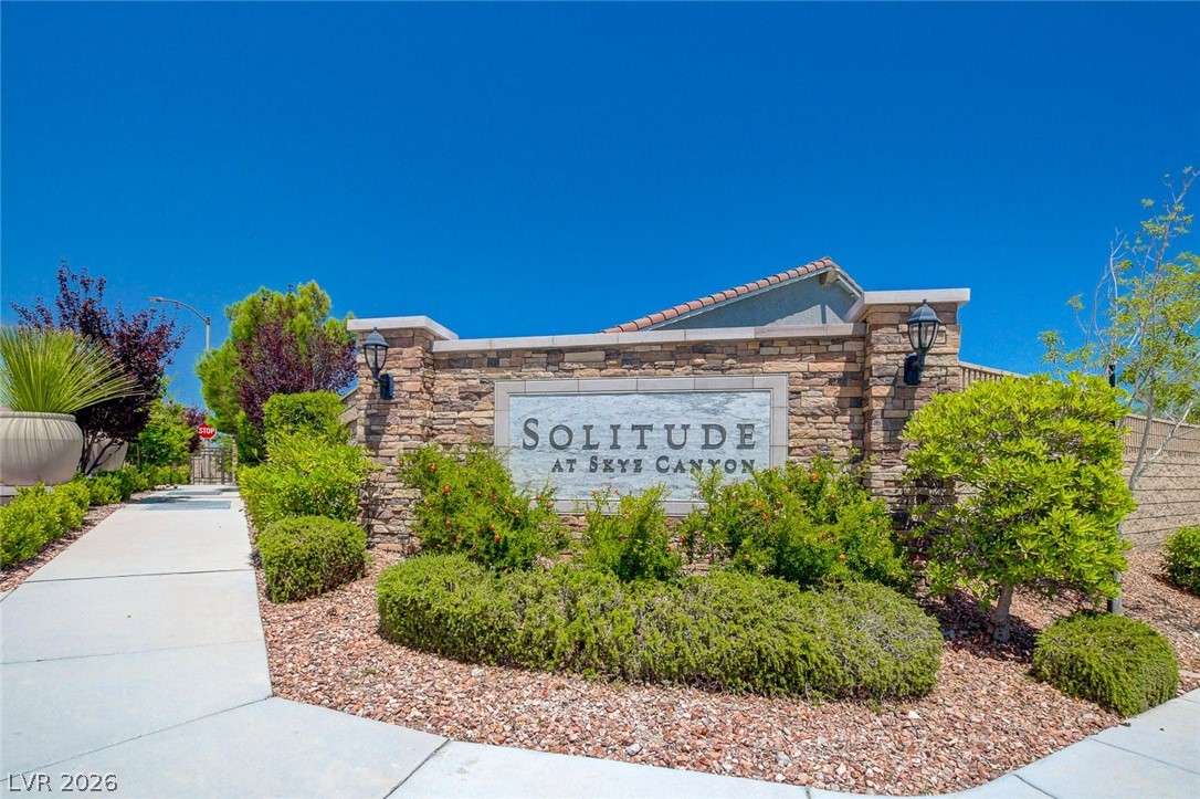 8286 Skye Gorge Street Property Photo 41