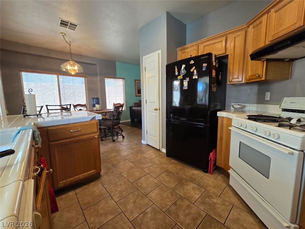 1155 Warm Canyon Way Property Photo 4
