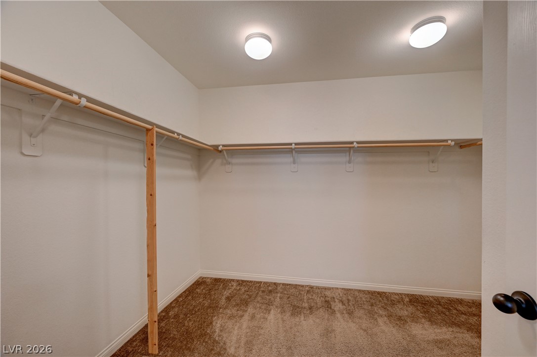7139 Superstar Street Property Photo 46