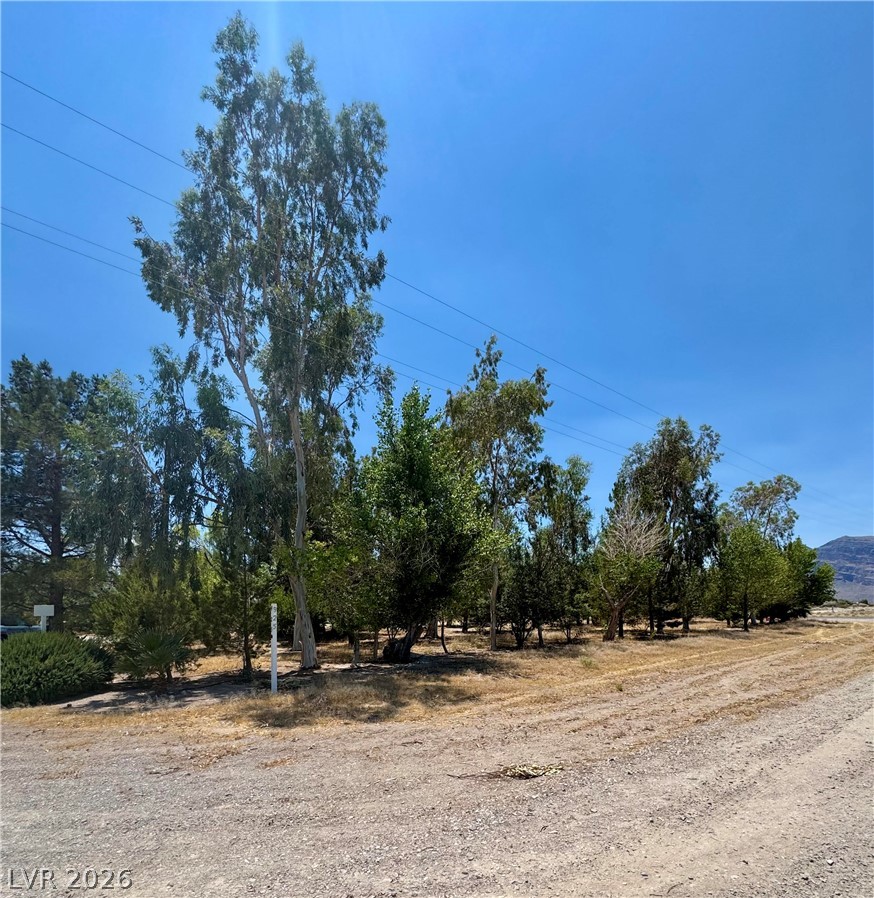 925 West Bettles Road Property Photo 11