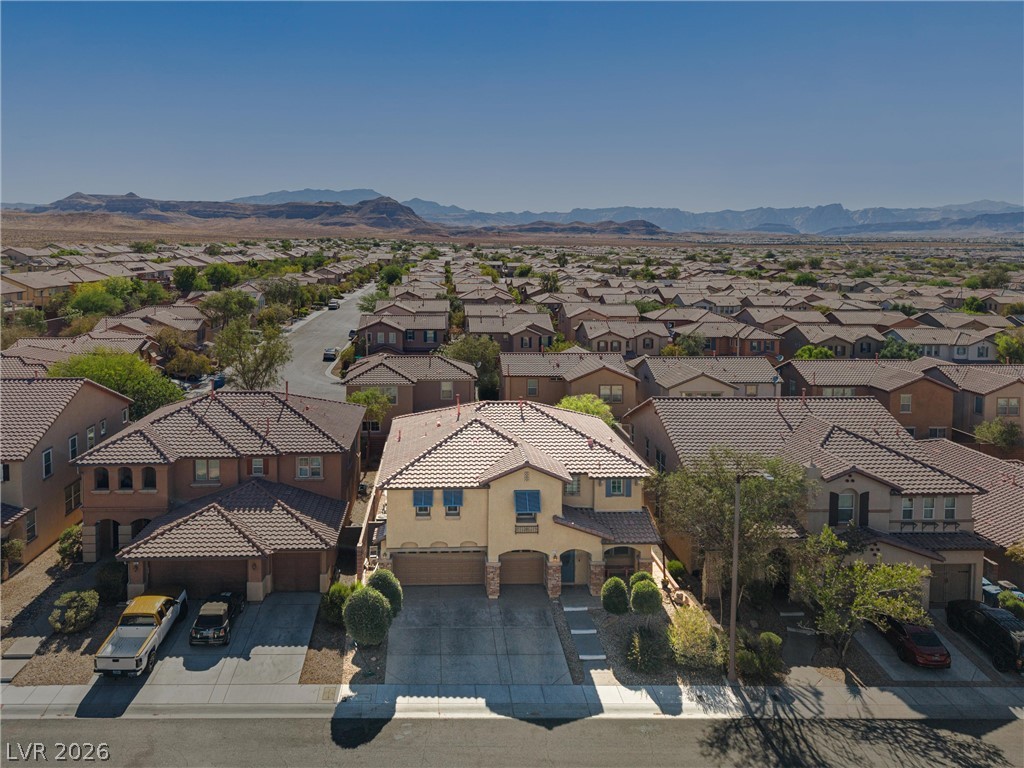 11175 Ash Mountain Street Property Photo 8