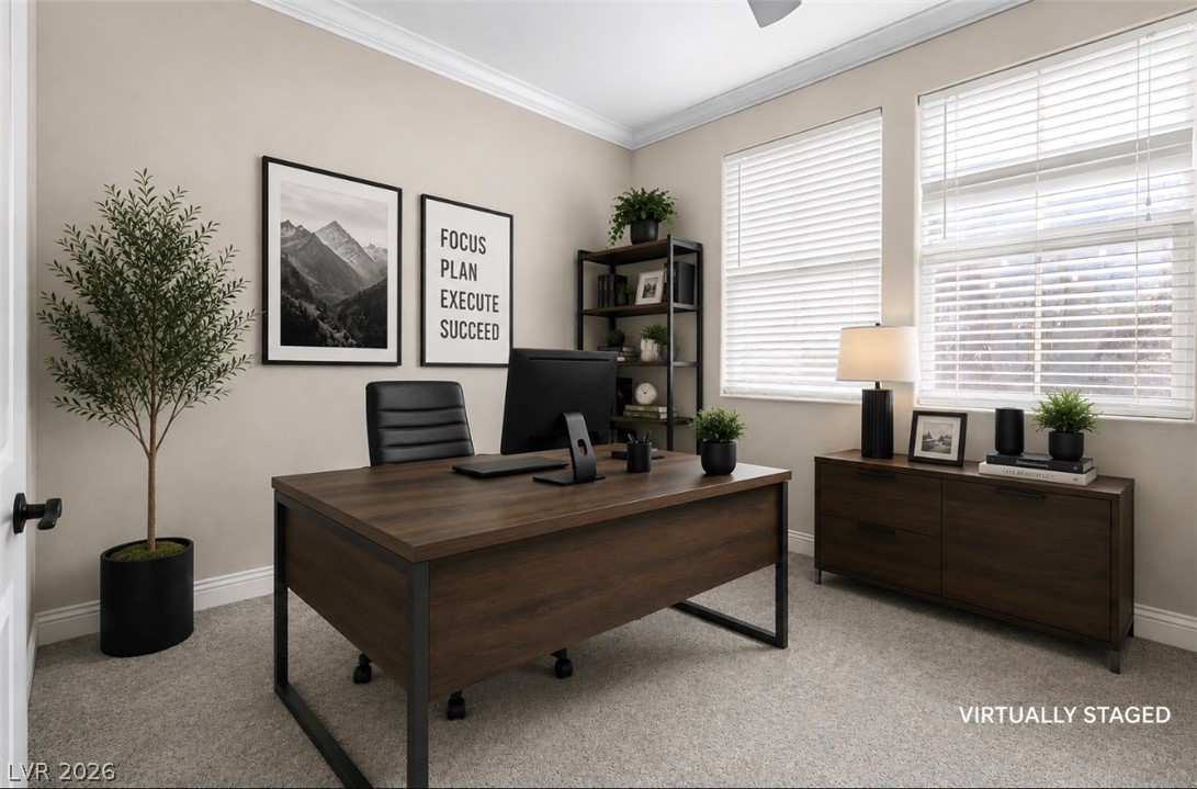 11175 Ash Mountain Street Property Photo 29