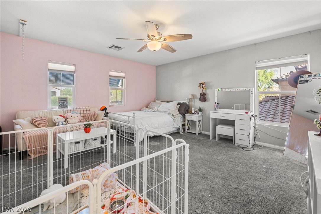 11175 Ash Mountain Street Property Photo 50