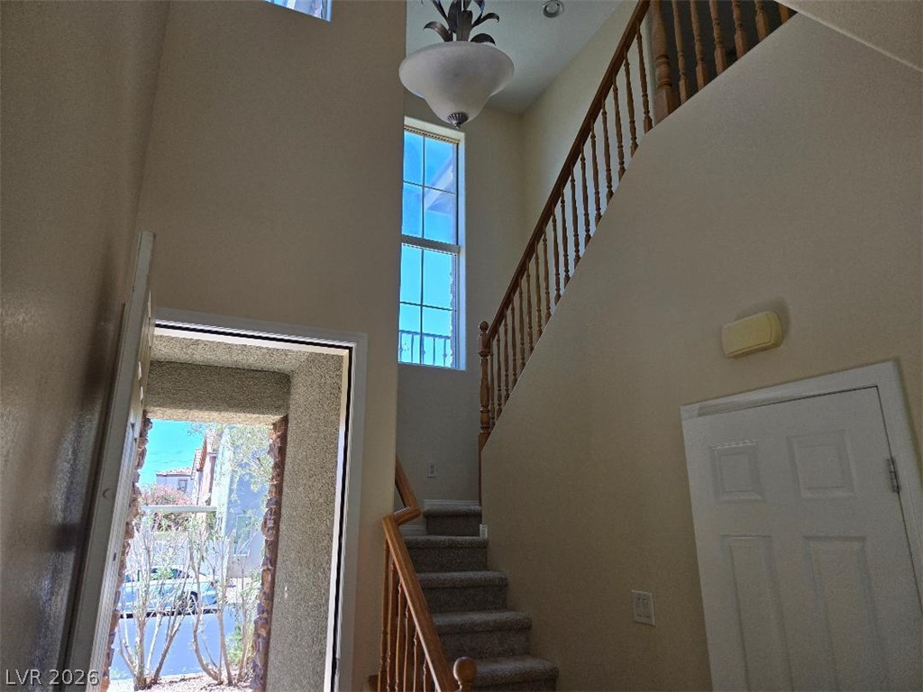 7668 Ambersnail Street Property Photo 6