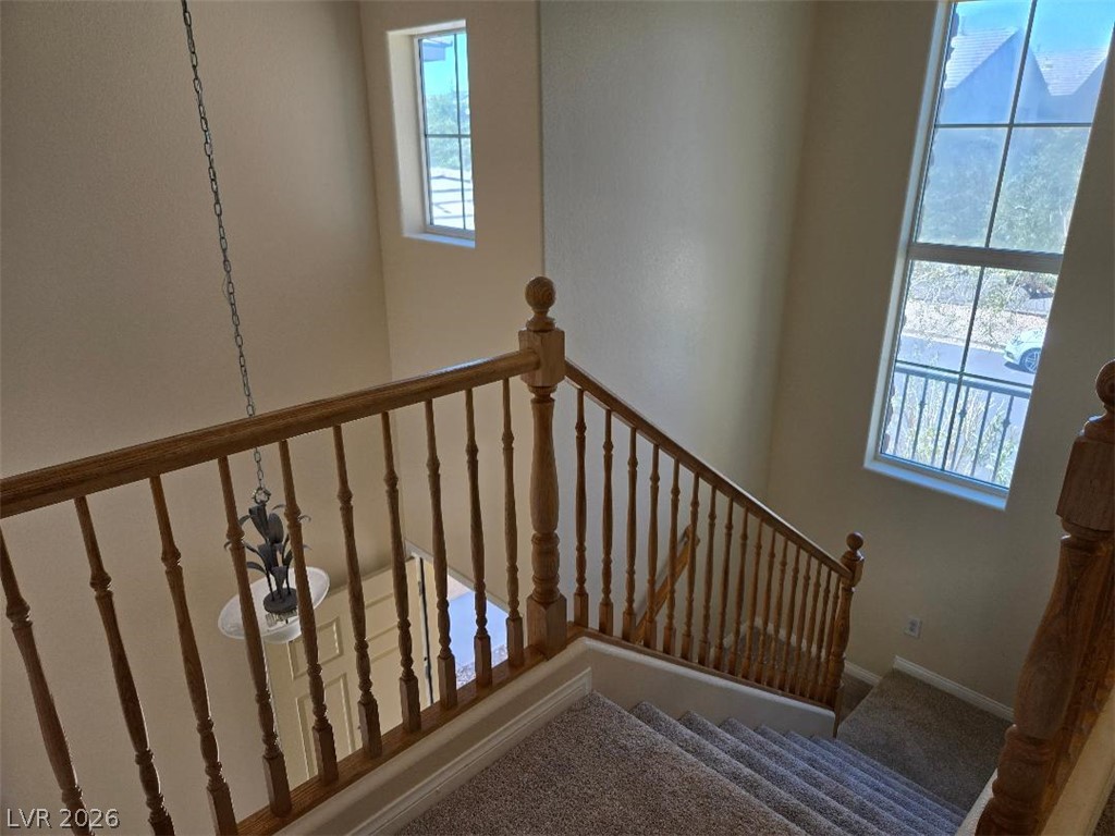 7668 Ambersnail Street Property Photo 17