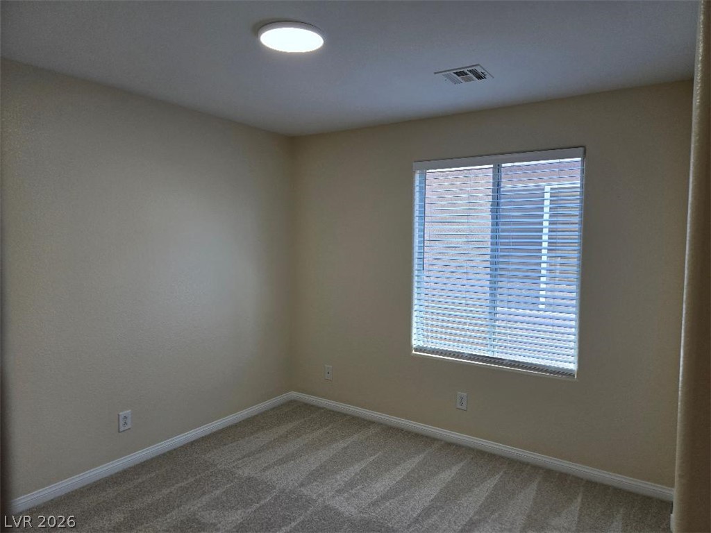7668 Ambersnail Street Property Photo 22